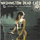 Washington Dead Cats - Under The Creole Moon